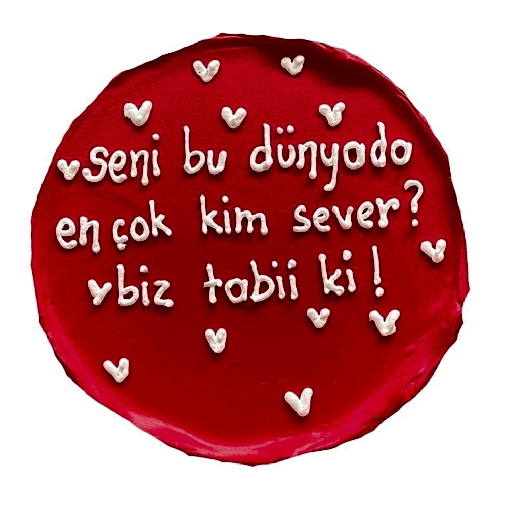 Yazılı Pasta 42